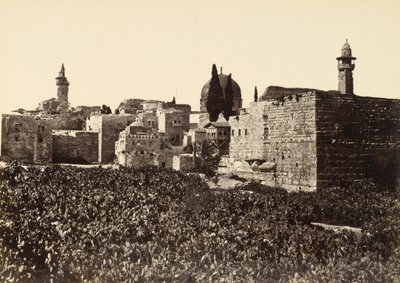 Ödland in Jerusalem zwischen dem Berg Zion und dem Heiligen Tempel von Francis Frith
